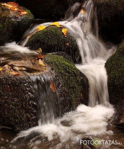 Tth Krisztin - Vzcsobogs