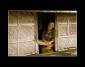 Radics Annamria - Rice after 
