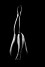 Locher Barbara dr. - Lbak