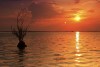 Kis Gyrgy - Tisza-tavi naplemente