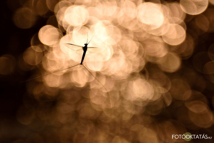 In light