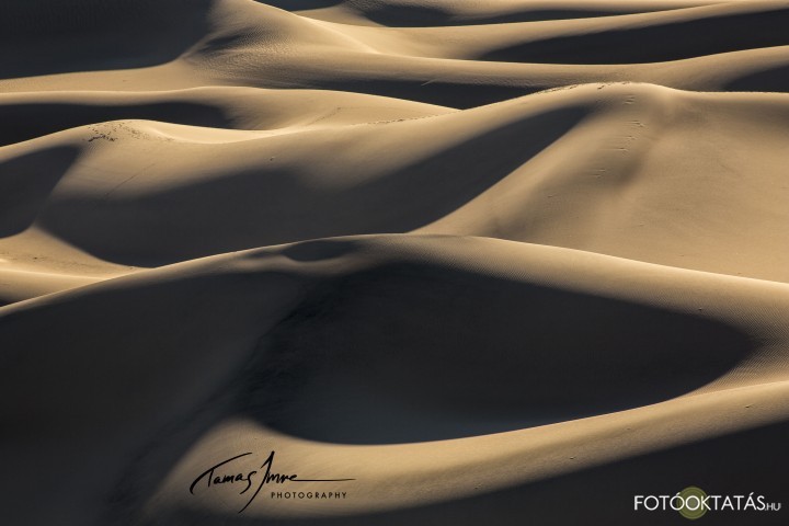 Dune shapes lights