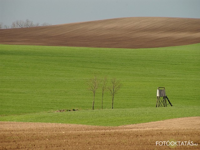 Dombok